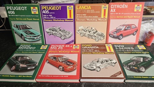 Pacchetto manuale haynes - manuale,